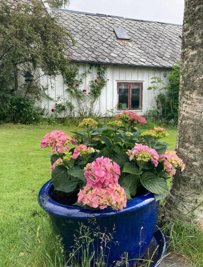 Shared Farmhouse ستافانجر المظهر الخارجي الصورة