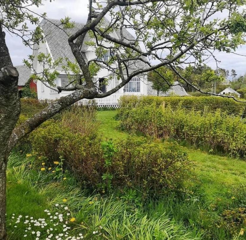 Shared Farmhouse ستافانجر المظهر الخارجي الصورة